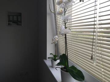 Фото номера Апартаменты Апартаменты Apartamenty Balbina 1 г. Тыхы 49