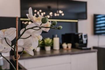Фото номера Апартаменты Апартаменты Apartamenty Balbina 1 г. Тыхы 28