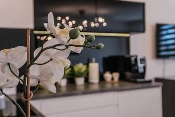 Фото номера Апартаменты Апартаменты Apartamenty Balbina 1 г. Тыхы 91
